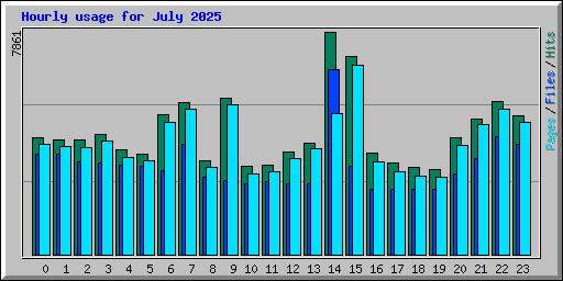 Hourly usage for July 2025