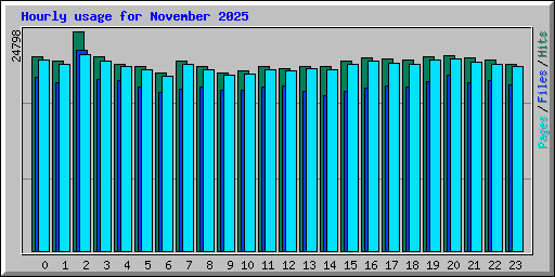 Hourly usage for November 2025